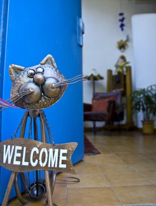 Come On In!
